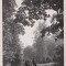 E B76445 Ukraine Romanian Occupation Czernowitz Cernauti public garden