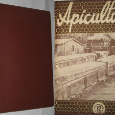 revista APICULTURA,9 numere pe anul 1958 (lipsesc nr.2,3,10) (stuparit,albinelor,stuparului,albinarit) 12 lei/revista