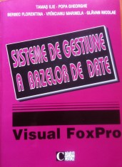 SISTEME DE GESTIUNE A BAZELOR DE DATE VISUAL FOX PRO - Tamas, Popa