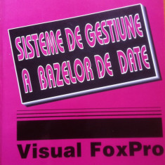 SISTEME DE GESTIUNE A BAZELOR DE DATE VISUAL FOX PRO - Tamas, Popa