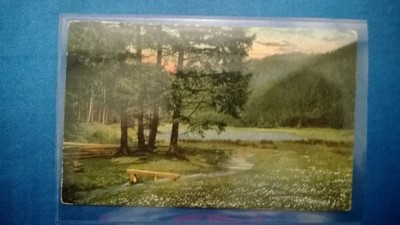 Vedere Peisaj Circulata foto