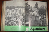 Revista APICULTURA,colectie 11 numere pe anul 1974 (lipseste nr.9) (stuparit,albinelor,stuparului,albinarit) 10 lei/revista, Alta editura