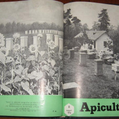 revista APICULTURA,colectie 11 numere pe anul 1974 (lipseste nr.9) (stuparit,albinelor,stuparului,albinarit) 10 lei/revista