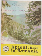 revista APICULTURA IN ROMANIA,nr.12, 1987 (stuparit,albinarit,albinelor) foto