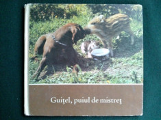 Guitel, puiul de mistret - HERBERT SEYFARTH foto