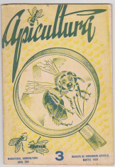 revista APICULTURA nr.3, 1950 (stuparit,albinelor,stuparului,albinarit) foto