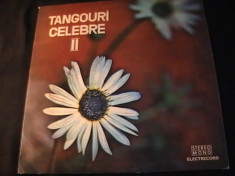 TANGOURI CELEBRE-2- foto