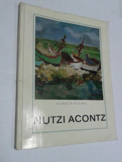 Album NUTZI ACOUNTZ - de Georgeta Peleanu foto