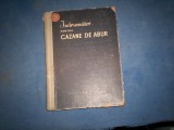 INDRUMATOR PENTRU CAZANE DE ABUR M ALDEA...