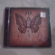 Vand cd P.O.D.-Payable On Death,original.Muzica hip hop.