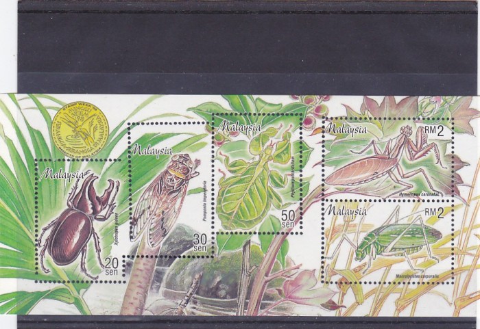 Fauna ,bondari ,gandaci ,Malaezia.
