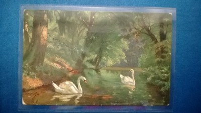 Vedere Deosebita Motiv fauna Lebede Circulata Romania - 1929 foto