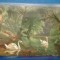 Vedere Deosebita Motiv fauna Lebede Circulata Romania - 1929