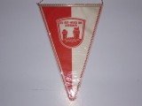 Fanion fotbal TSV ROT-WEISS 1881 AUERBACH