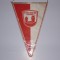 Fanion fotbal TSV ROT-WEISS 1881 AUERBACH