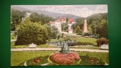 Vedere Salutari din BAILE GOVORA - Vedere din parc foto