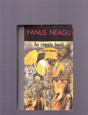 FANUS NEAGU -IN VAPAIA LUNII foto