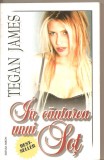 (C4454) IN CAUTAREA UNUI SOT DE TEGAN JAMES, EDITURA MIRON, BUCURESTI, TRADUCERE DE LAURA GORNEANU