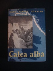 HANS ALBERT FORSTER - CALEA ALBA foto