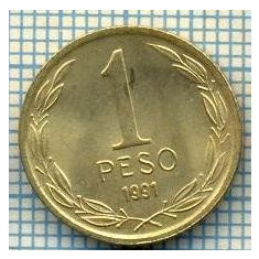 4893 MONEDA - CHILE - 1 PESO - ANUL 1991 -starea care se vede