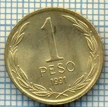 4893 MONEDA - CHILE - 1 PESO - ANUL 1991 -starea care se vede foto