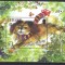 JERSEY 2006, Fauna - Caini, serie neuzata, MNH