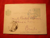 Carte Postala 5 Bani verde Spic de Grau marca fixa ,stamp.verde Pufesti Gara -F.Rara!, Circulata, Printata