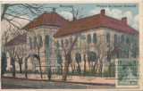 B76129 Bucuresti Muzeul de Istorie Naturala 1929