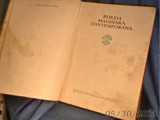 POEZIA MAGHIARA CONTEMPORANA