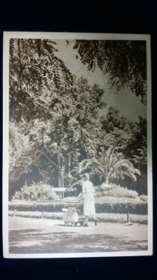 RPR - Buzias - Vedere din parc foto