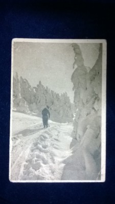 RPR - Bucegi - circulata foto