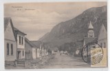 B76100 Romania Caras Severin Langa Herculane pecinisca sat mic 1911