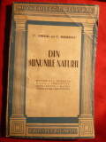 C.Amiral(r)C.Boerescu - Din Minunile Naturii -Prima Ed. 1945