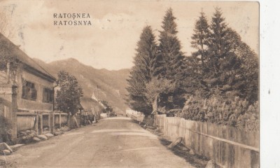 B76157 Rastolnita Ratosnea Ratosnya Mures 2 scans foto