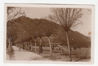 B76261 Targu Ocna Intrarea la Parcul Nastasache foto