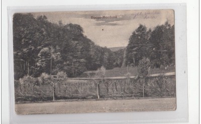 B76290 Bocsa Montana foto