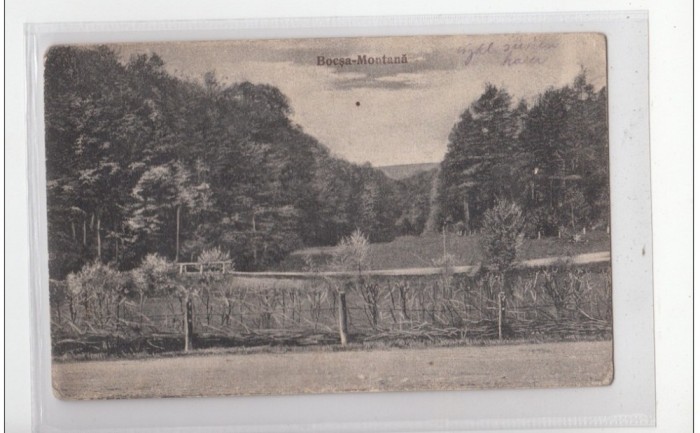 B76290 Bocsa Montana