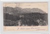 B76359 Sinaia Peles si muntele Caraiman 1904