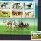 UZBEKISTAN 1999, Fauna - Cai, serie neuzata, MNH