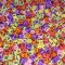 100 buc Margele plastic acril color, litere alfabet mix, forma de cub, 6 mm