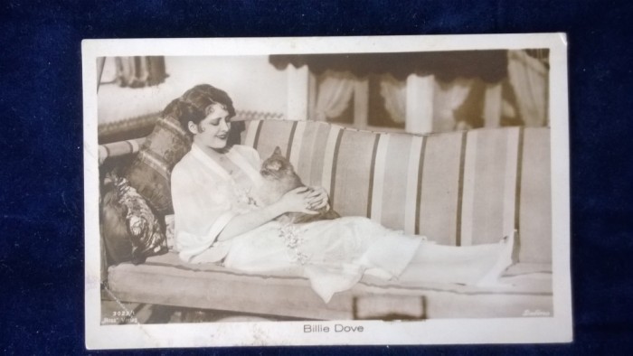 Billie Dove-actrita americana-tinuta sexy impreuna cu pisica-vedere Ross 3023/1