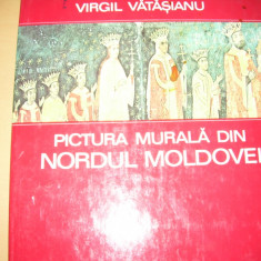 ALBUM PICTURA MURALA DIN NORDUL MOLDOVEI -VIRGIL VATASANU