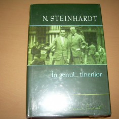 IN GENUL TINERILOR N STEINHARDT