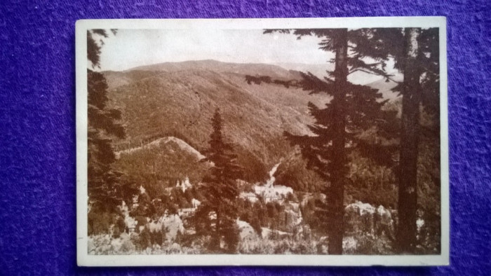 Sinaia - Vedere spre Valea Rea -circulata &#039;58 nr 649 - RPR