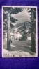 Predeal - Vedere spre Cioplea nr 15 Format portret - circulat - RPR