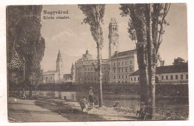 carte postala(ilustrata)-ORADEA -Pe malul Crisului foto