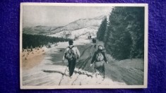 Muntii Bucegi - Spre cabana Trei Brazi - circulata, timbru lipit - RPR