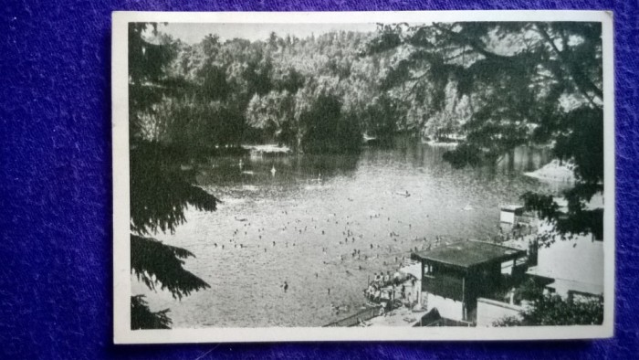 RPR - Sovata Lacul Ursu nr 255- circulat