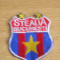 BDEC - ECUSON - TEMATICA - STEAUA BUCURESTI