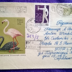 Plic circulat Recomandat + timbre CCP - Motiv fauna - pasari - Intreg postal